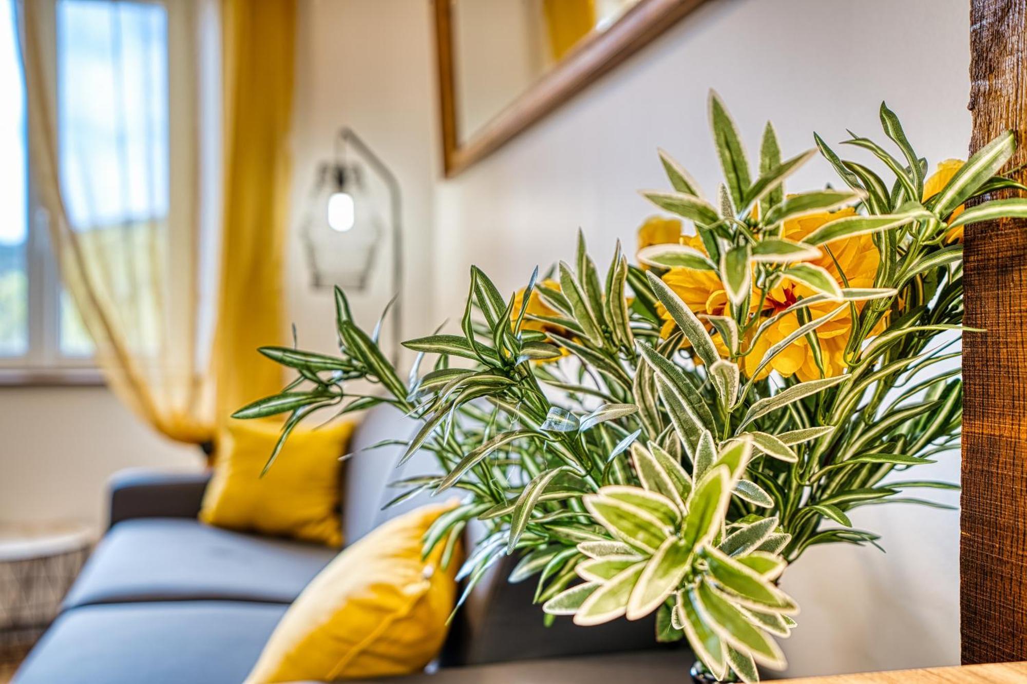 Les Hourtous Netflix Wi-Fi Fibre Terasse 4 Pers Apartment Banassac Exterior photo